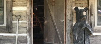 Mountain View Cabin + (Bunkhouse 75 $ par nuit supplémentaire en sélectionnant 9 personnes)