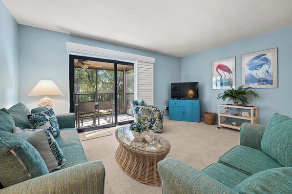 电视、DVD 播放器