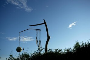 A tree with a swing hanging from a branch. - Penghu Kite House (Magong)