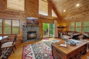TV, fireplace, books