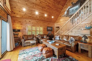 TV, fireplace, books