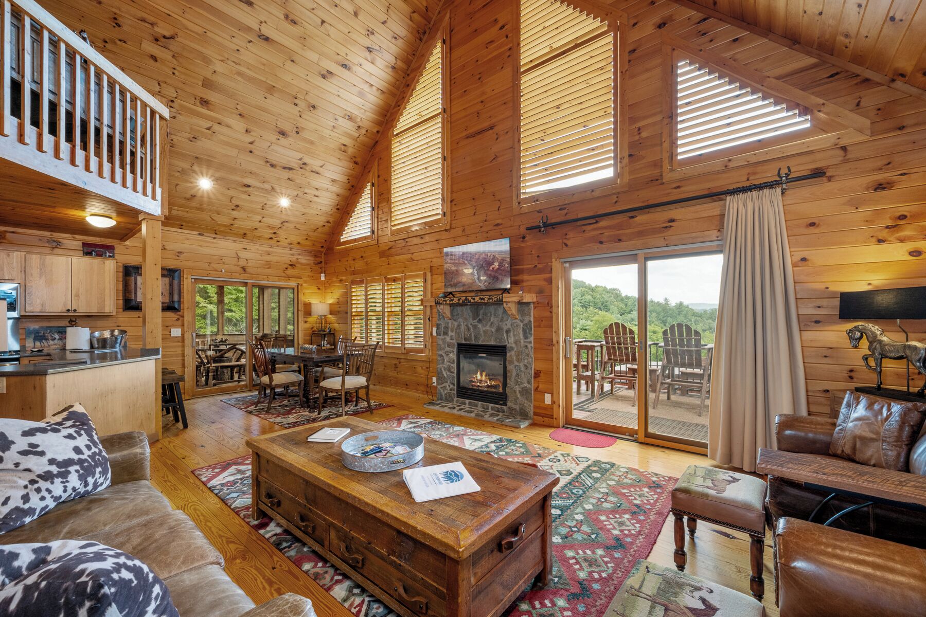 TV, fireplace, books