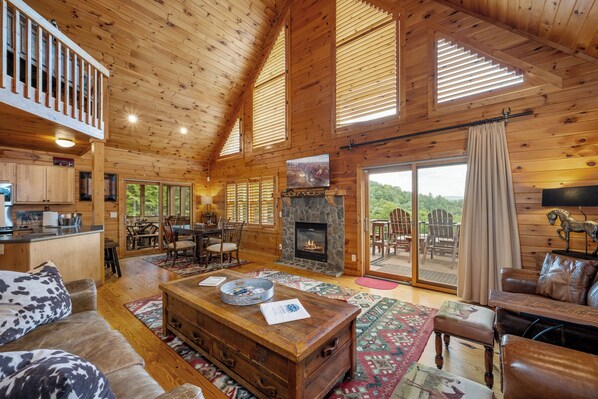 TV, fireplace, books