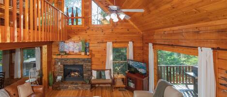 TV, fireplace, video games, DVD player