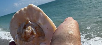 Peggy's Retreat - Bougainvillea Cottage