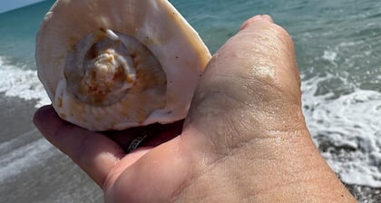 ¡Un oasis moderno y tropical a solo minutos de la playa!