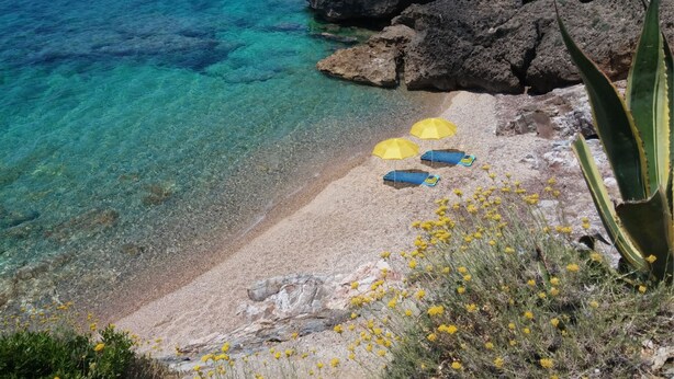 A beach with clear turquoise water, rocky outcrops, and yellow flowers. - Scrittore2 - Scrittore2 Villa Fiore (Capoliveri)