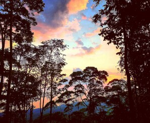 A forested landscape with a sunset sky. - WHALES TAIL VIEWS Del Congos Uvita Great privacy, WSlide Pool, HandicapAccess (Uvita)