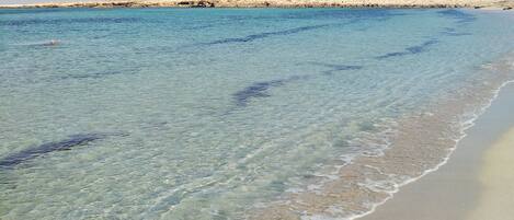 بالقرب من الشاطئ