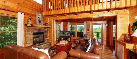 电视、壁炉、电子游戏、DVD 播放器