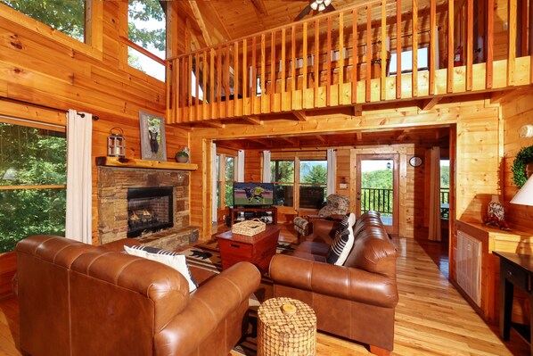 TV, fireplace, video games, DVD player