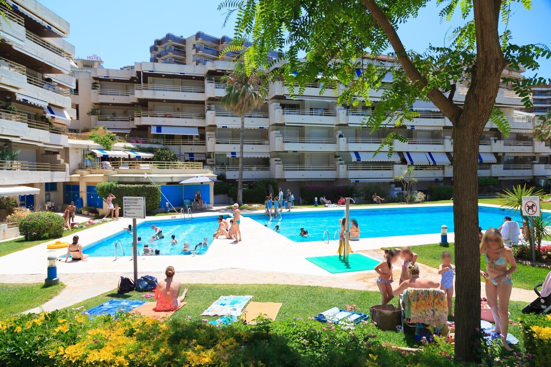Un espace piscine comprenant plusieurs bassins, des chaises longues et une pelouse où des serviettes sont à disposition.