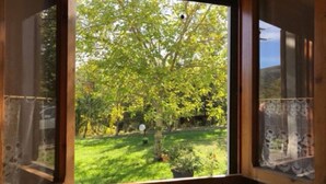 A window with a view of a green lawn and trees. - The House Of Antonella Casentino, Arezzo, Tuscany, Italy  (Subbiano)