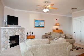 Smart TV, fireplace, DVD player, video library