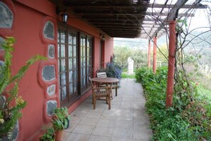 Eine überdachte Terrasse mit Tisch, Stühlen, einer Steinmauer und Topfpflanzen.