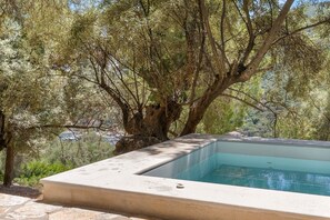 Pool - Villa Giancarlo - Lovely Villa with Stone and Wood Elements in Sivota Bay (Sivota Village)