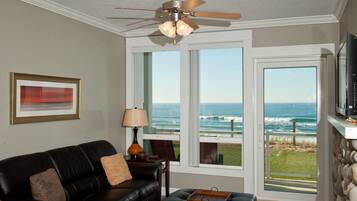 Smart TV, fireplace, DVD player, books