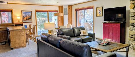 TV, fireplace, DVD player