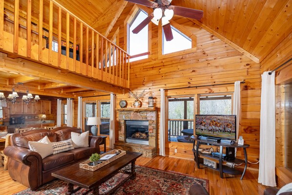 TV, fireplace, video games, DVD player