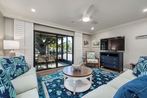 电视、DVD 播放器