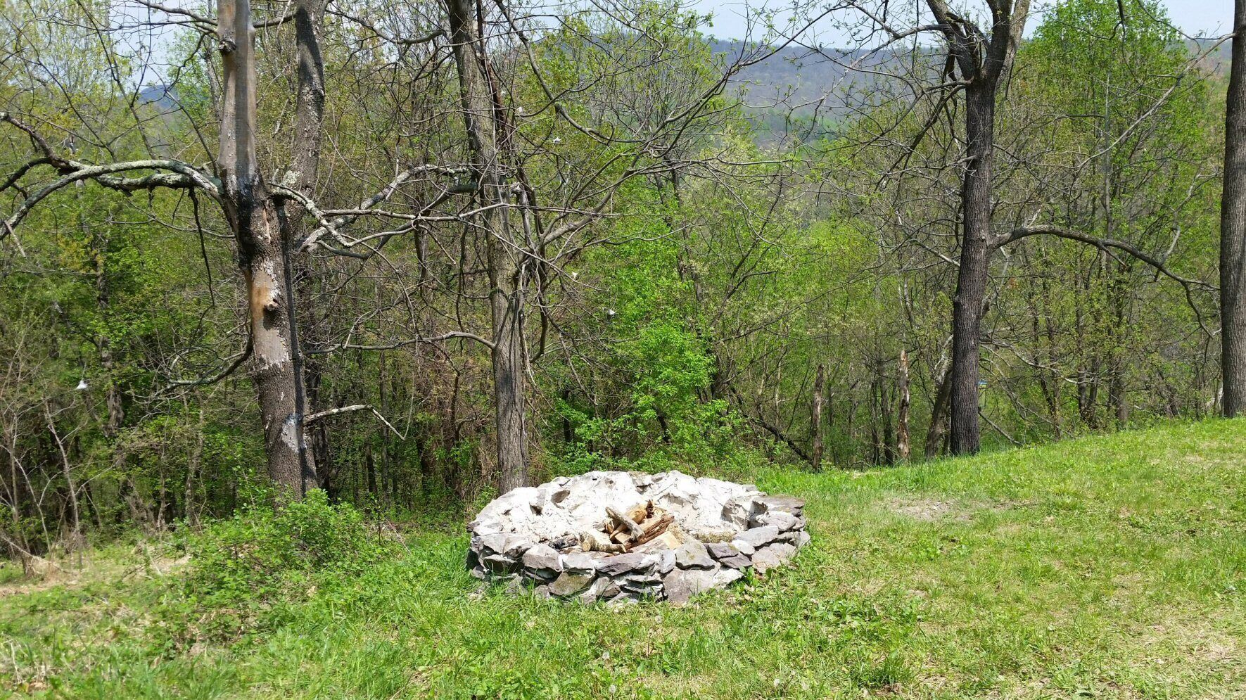 Un foyer en pierre, entouré d’herbe et d’arbres, situé dans une zone boisée.