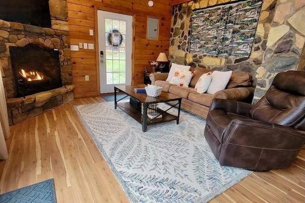 TV connectée, cheminée, lecteur de DVD, livres