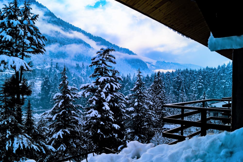 Alt Life Manali