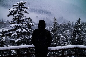 Deluxe Room | Terrace/patio - Alt Life Manali (Manali)