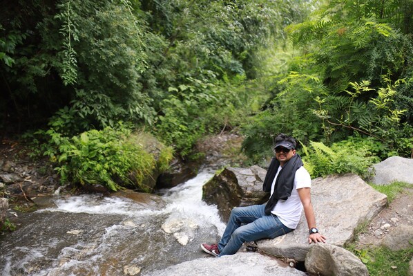 A person sitting on a rock by a flowing stream surrounded by dense greenery.