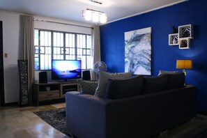 TV, video library, stereo