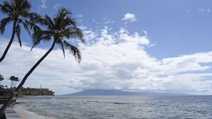 A beach with palm trees, a clear sky, and a distant mountain.