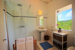 Shower, towels
