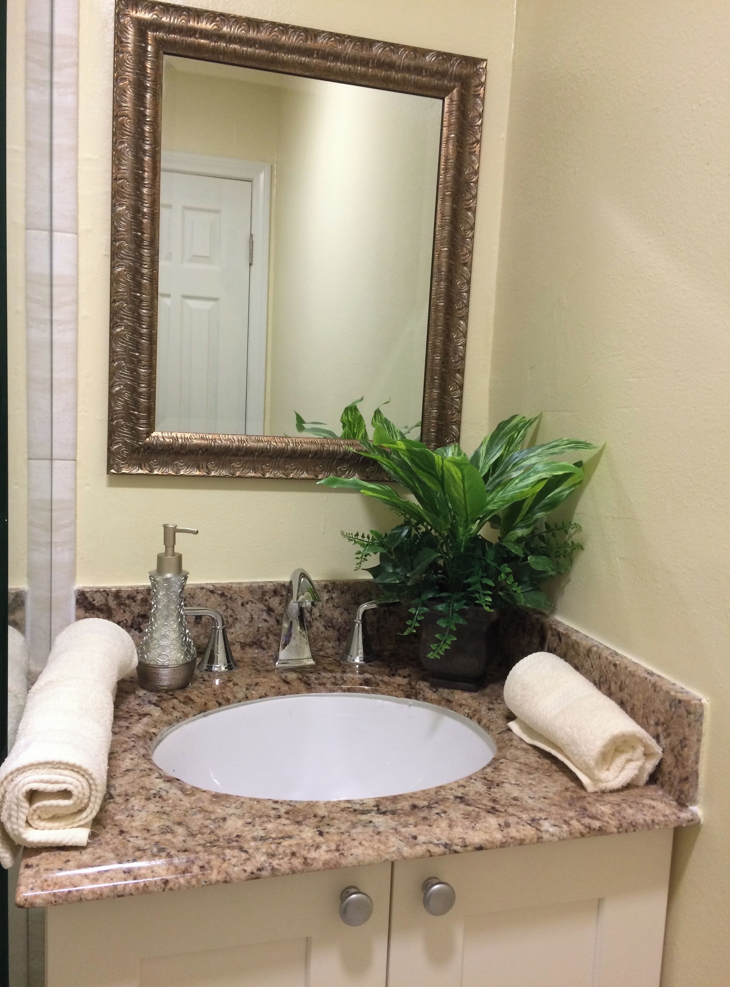 A bathroom with a granite countertop, a white sink, a mirror with an ornate frame, a potted plant, and two rolled towels.