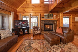 TV, caminetto, videogiochi, lettore DVD