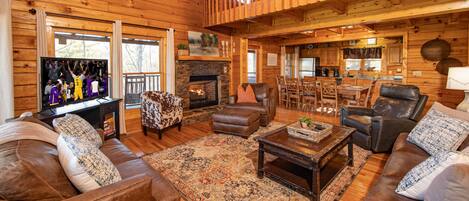 TV, fireplace, video games, DVD player