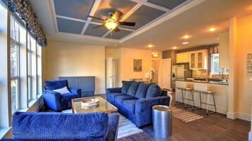 电视、DVD 播放器、书、影片库