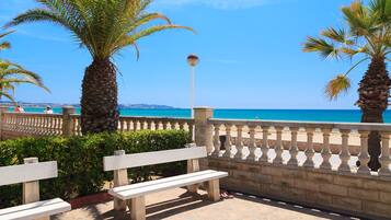 Un paseo marítimo con bancos, palmeras y una vista despejada del océano.