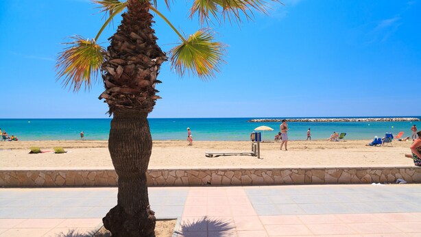 Ein Strand mit einer Palme, einer Steinmauer und einem Steg im Hintergrund.