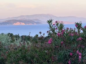 A coastal landscape with mountains in the background and flowering plants in the foreground. - Villa Atokos: Infinity Escape & Sea Views (sivota)