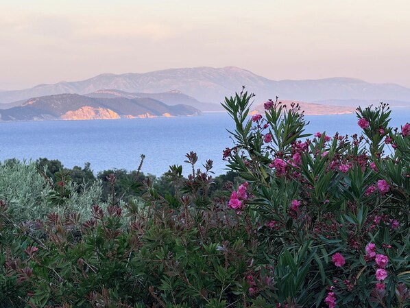 A coastal landscape with mountains in the background and flowering plants in the foreground. - Villa Atokos: Infinity Escape & Sea Views (sivota)