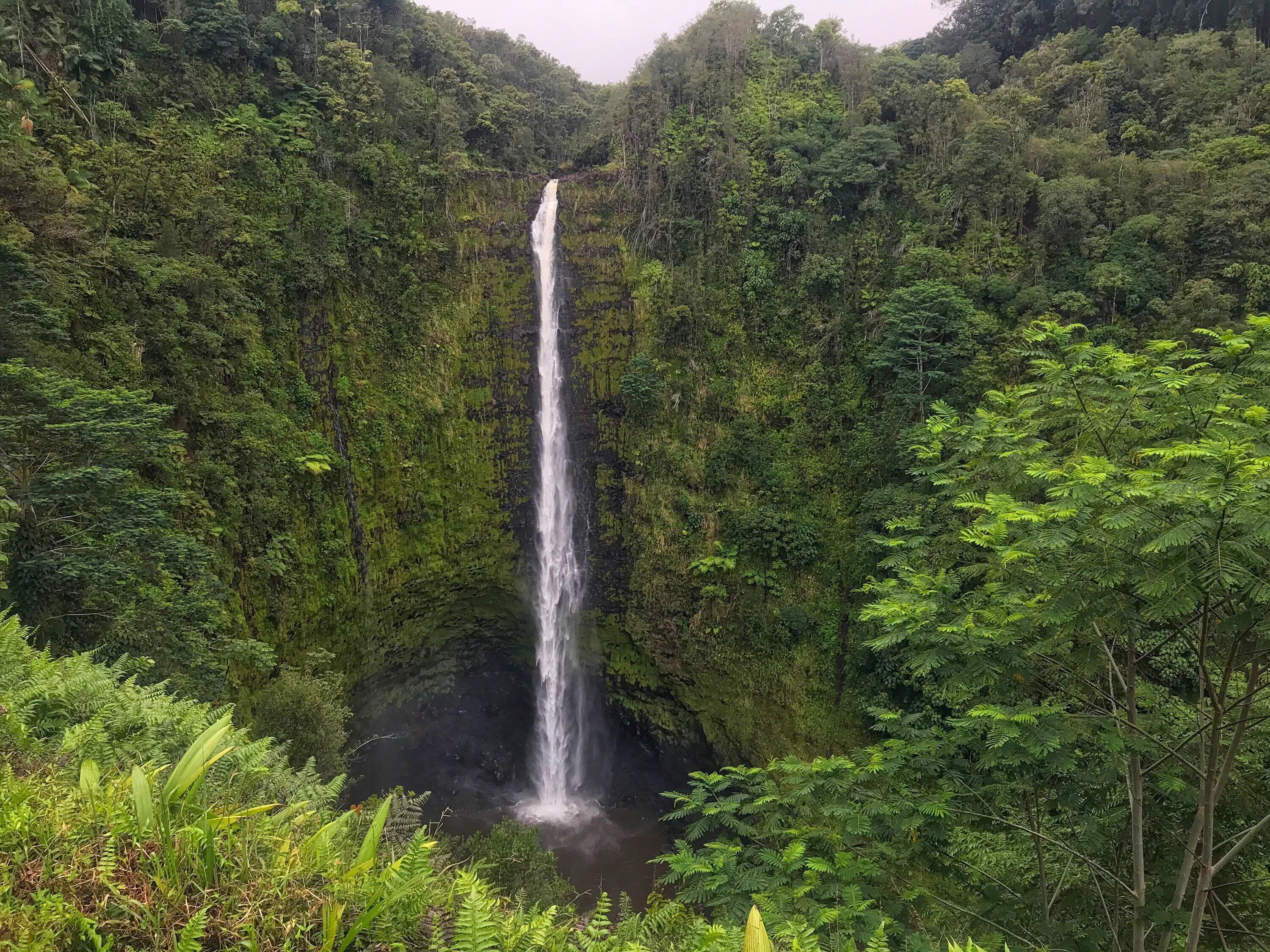 Ein Wasserfall, umgeben von dichtem Wald.