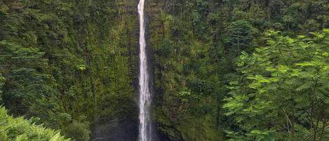 Ein Wasserfall, umgeben von dichtem Wald.