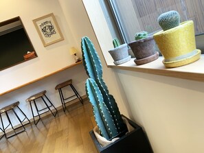 Room amenity - Cactus Inn (Miyazaki)