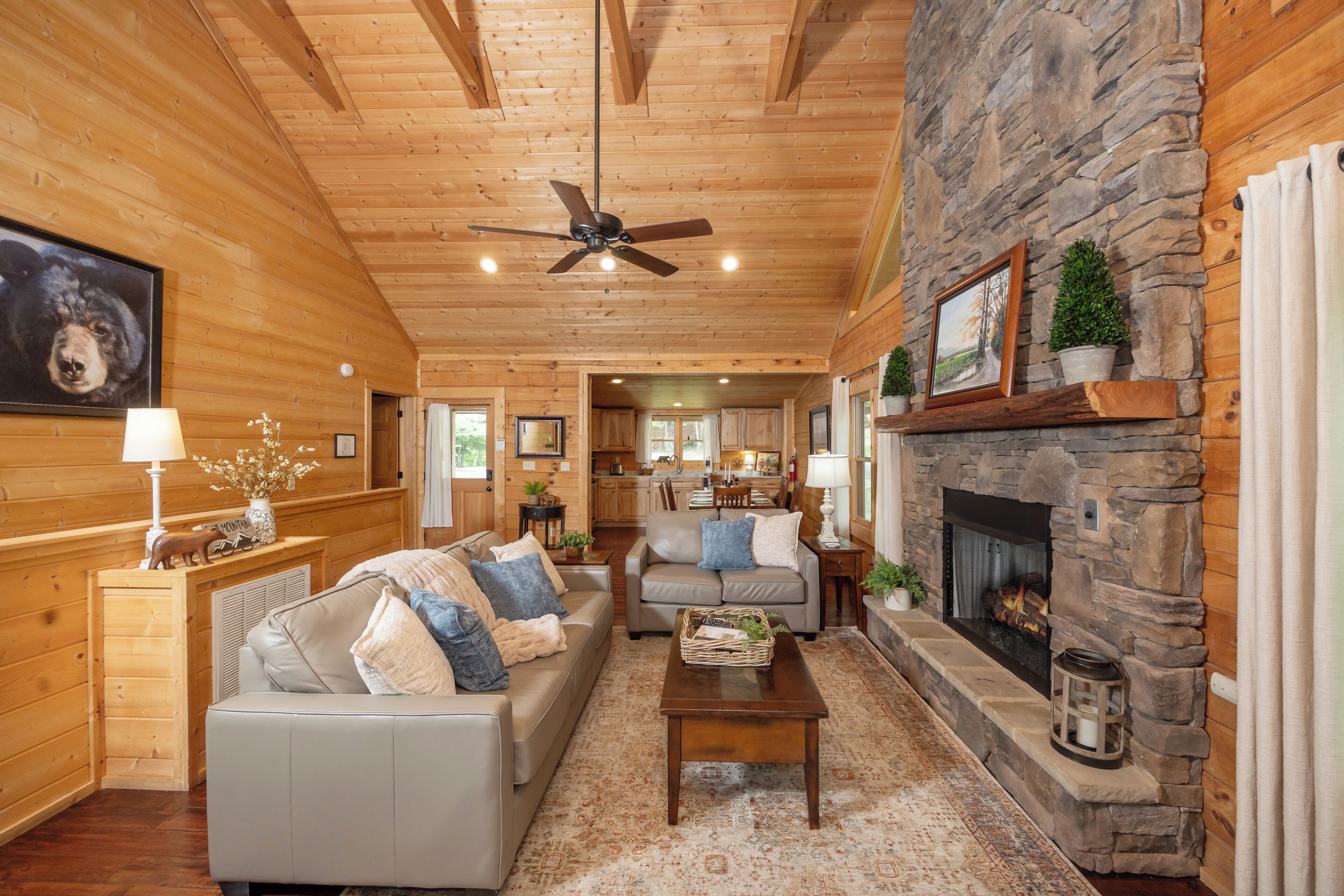 Flat-screen TV, fireplace, video games, DVD player