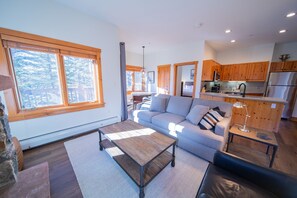 スマートテレビ、暖炉、ステレオ