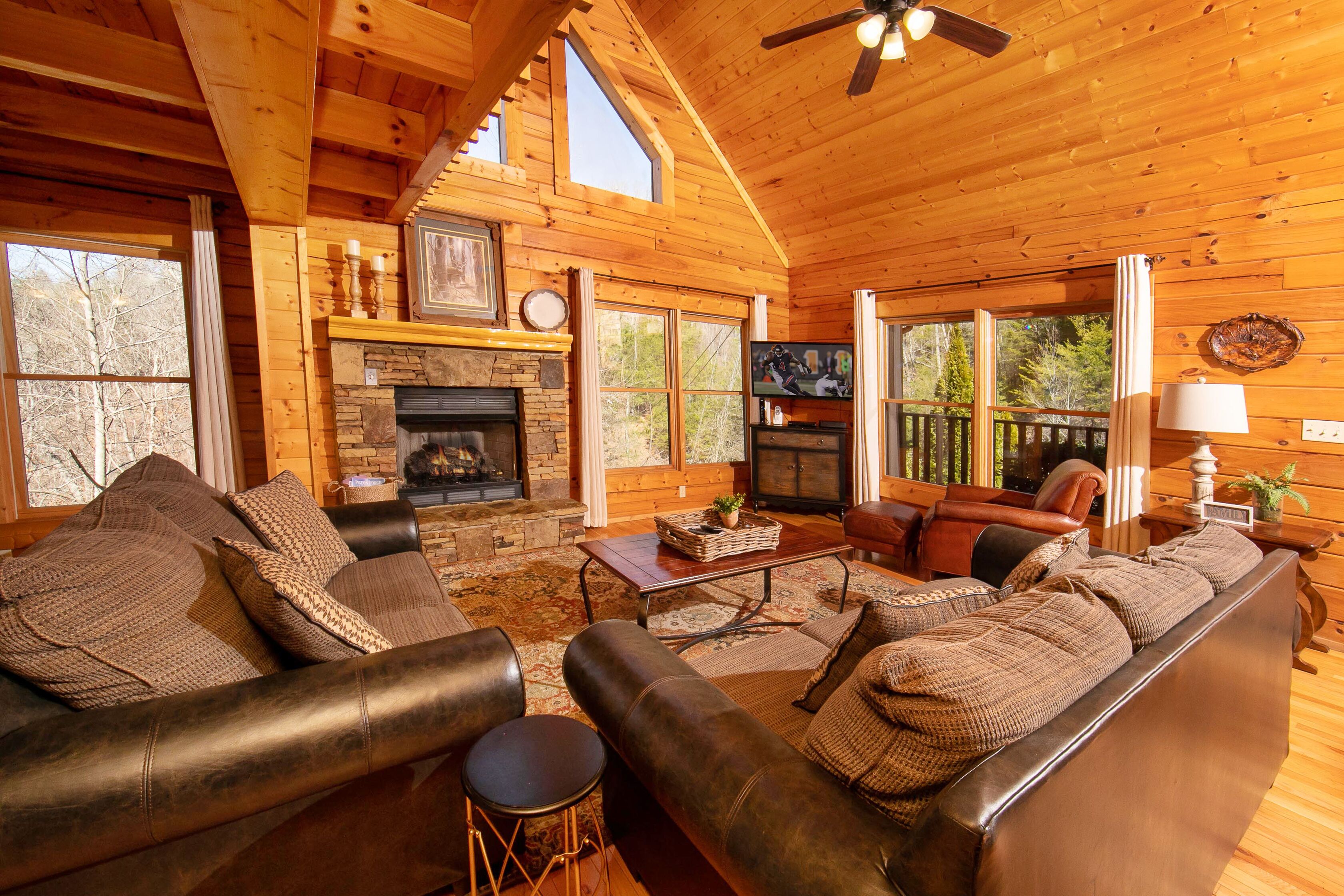 Een televisie, een open haard, videogames en een dvd-speler