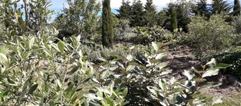 Hytta på stylter, 2 P, privat spa, opphold i naturen, avslapning velvære, komfort