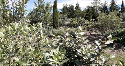 Cabane de prestige sur pilotis avec spa privatif en pleine nature
