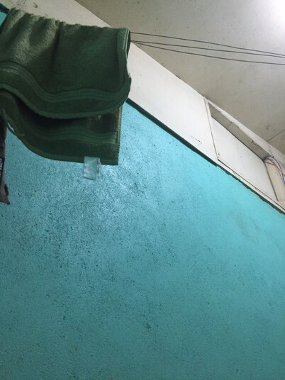 Love and Joy for all