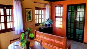 A dining area with a wooden table, chairs, a bench, and potted plants.